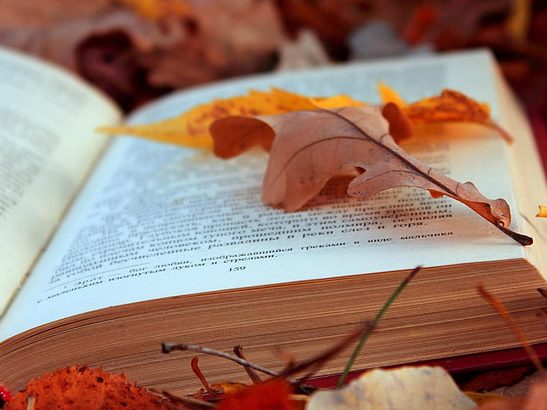 books-texts-leaves-autumn-wallpaper-preview