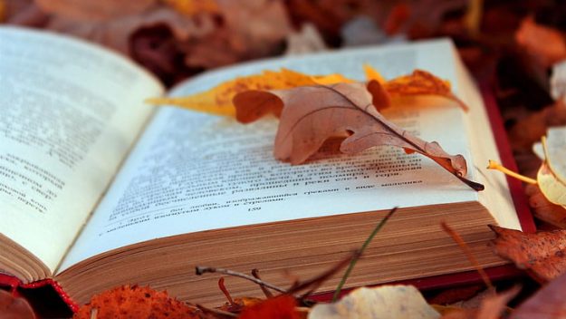 books-texts-leaves-autumn-wallpaper-preview